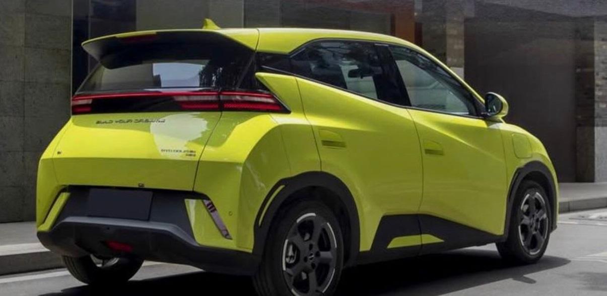 open book byd seagull giass